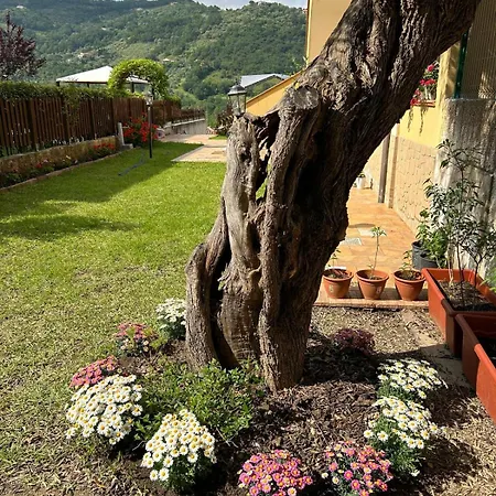 Nonna Gio Villa *